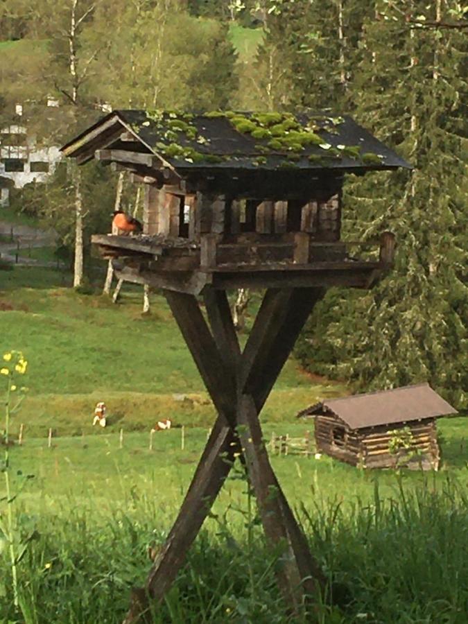 Hof Hintererb Kitzbühel